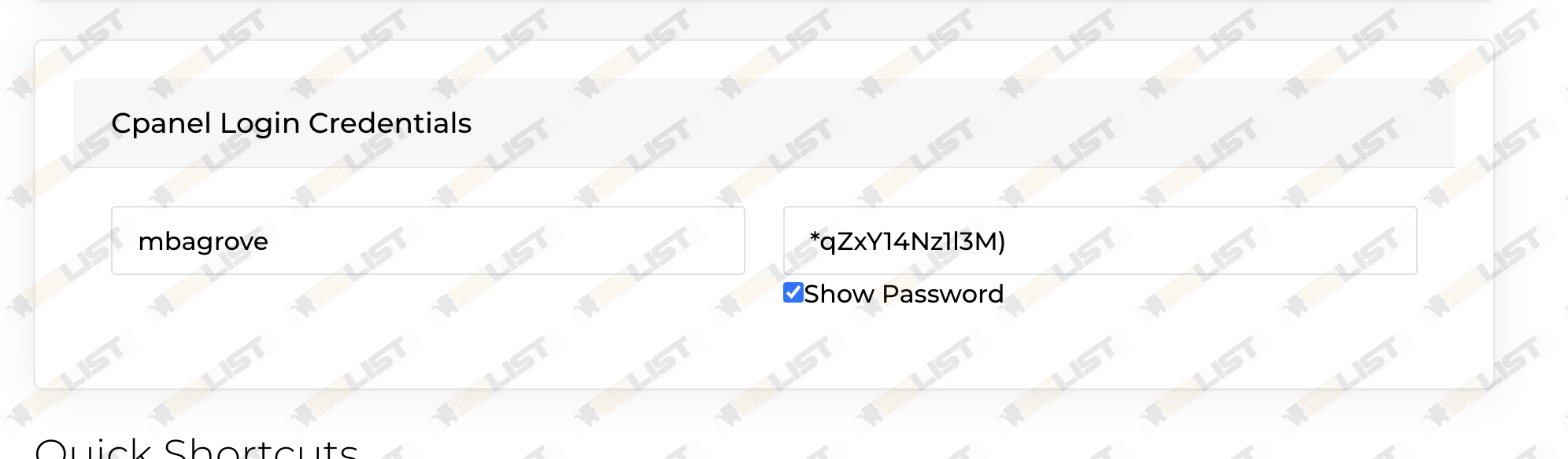 Quick Access to Nameserver & cPanel Credentials in WHMCS